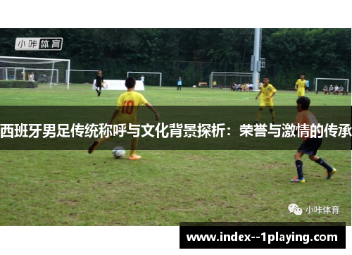 西班牙男足传统称呼与文化背景探析：荣誉与激情的传承